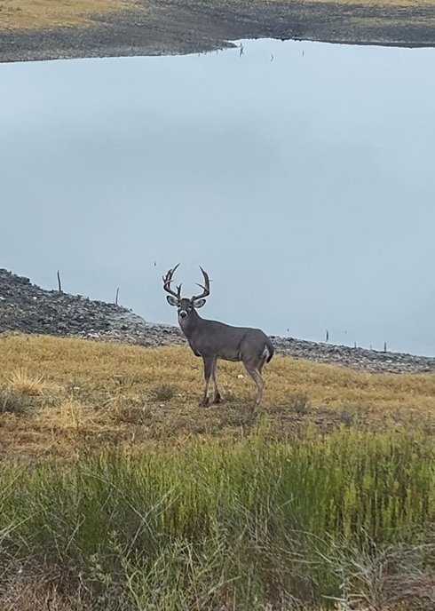 La Mesa Ranch